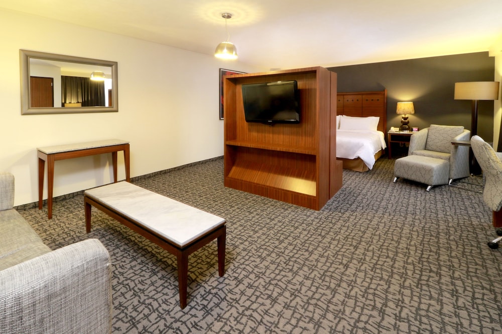 holiday inn ciudad de mexico trade center by ihg