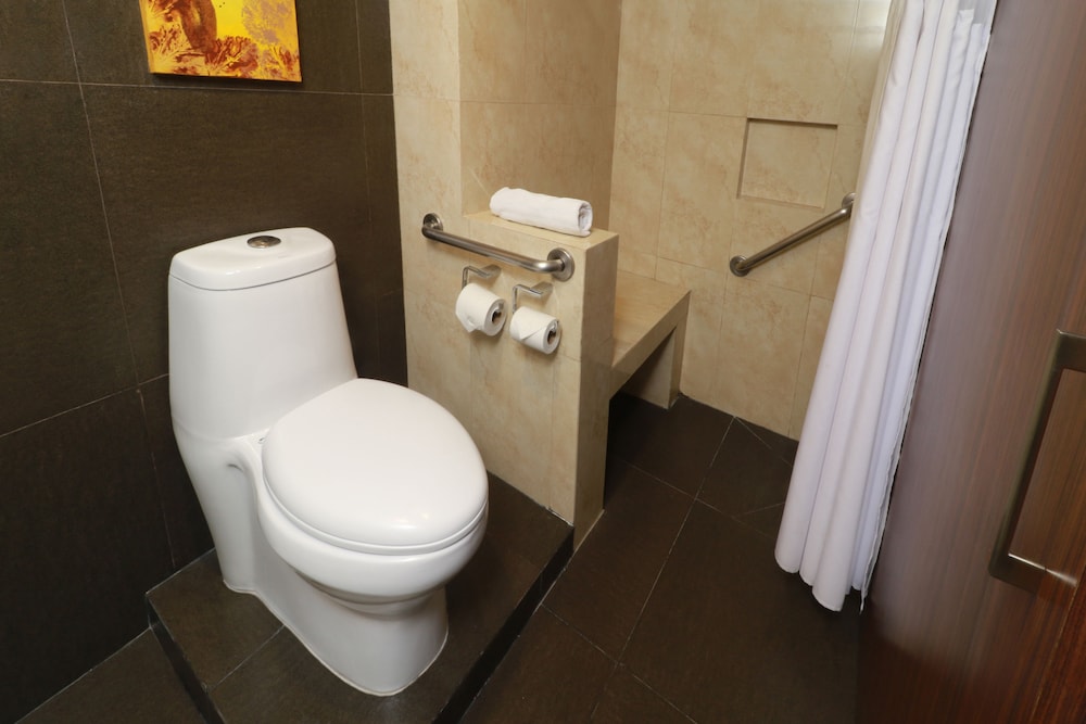 holiday inn ciudad de mexico trade center by ihg