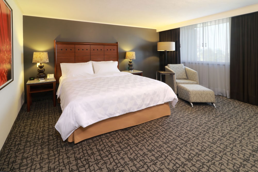 holiday inn ciudad de mexico trade center by ihg