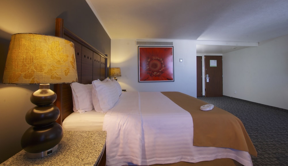 holiday inn ciudad de mexico trade center by ihg