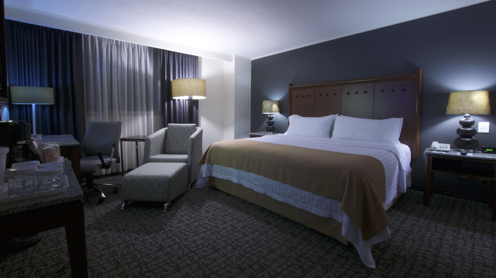 holiday inn ciudad de mexico trade center by ihg
