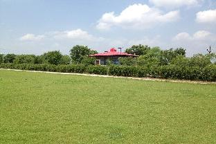 neemuch