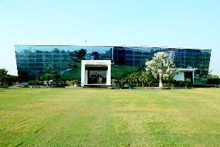 sirsa
