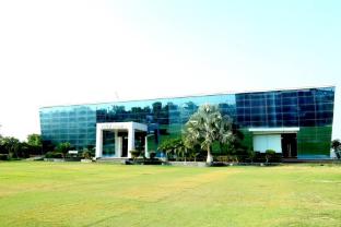 sirsa
