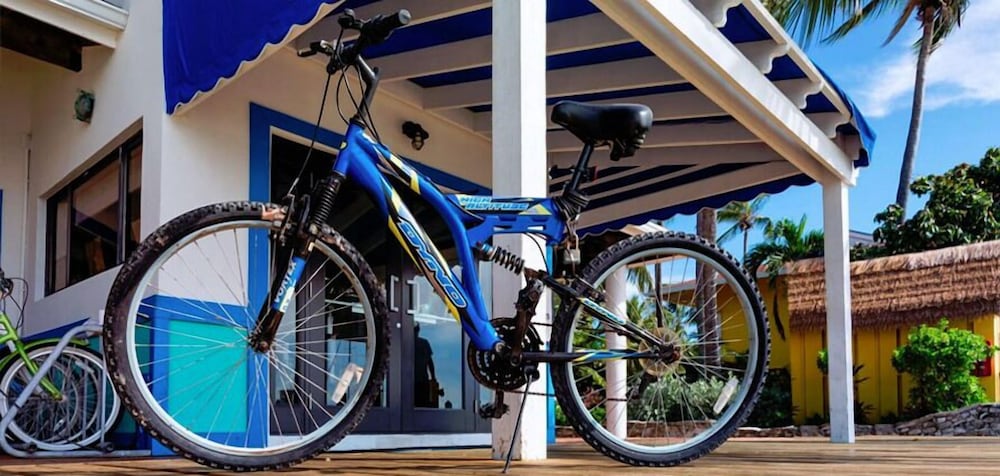 bimini big game club resort and marina