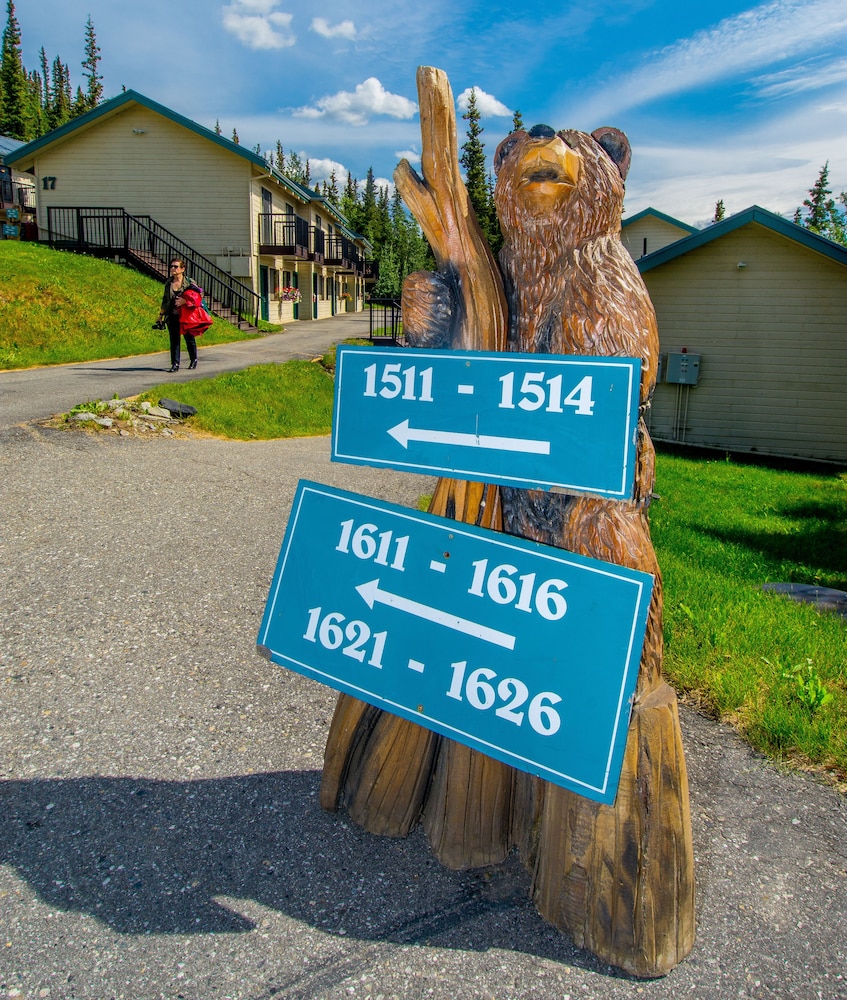denali national park