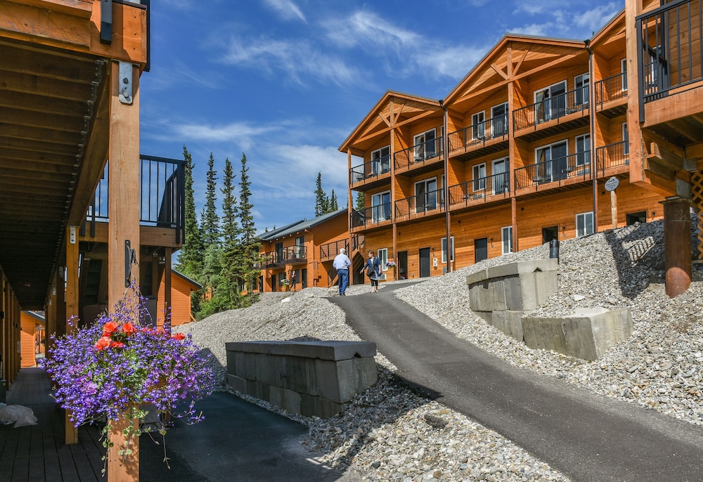 denali national park