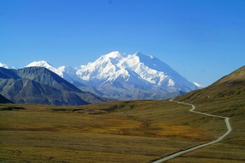 denali national park