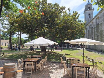 viajero colonia hostel and suites solo adultos