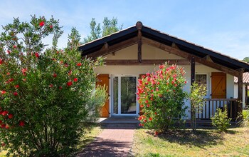 mmv lallee des dunes