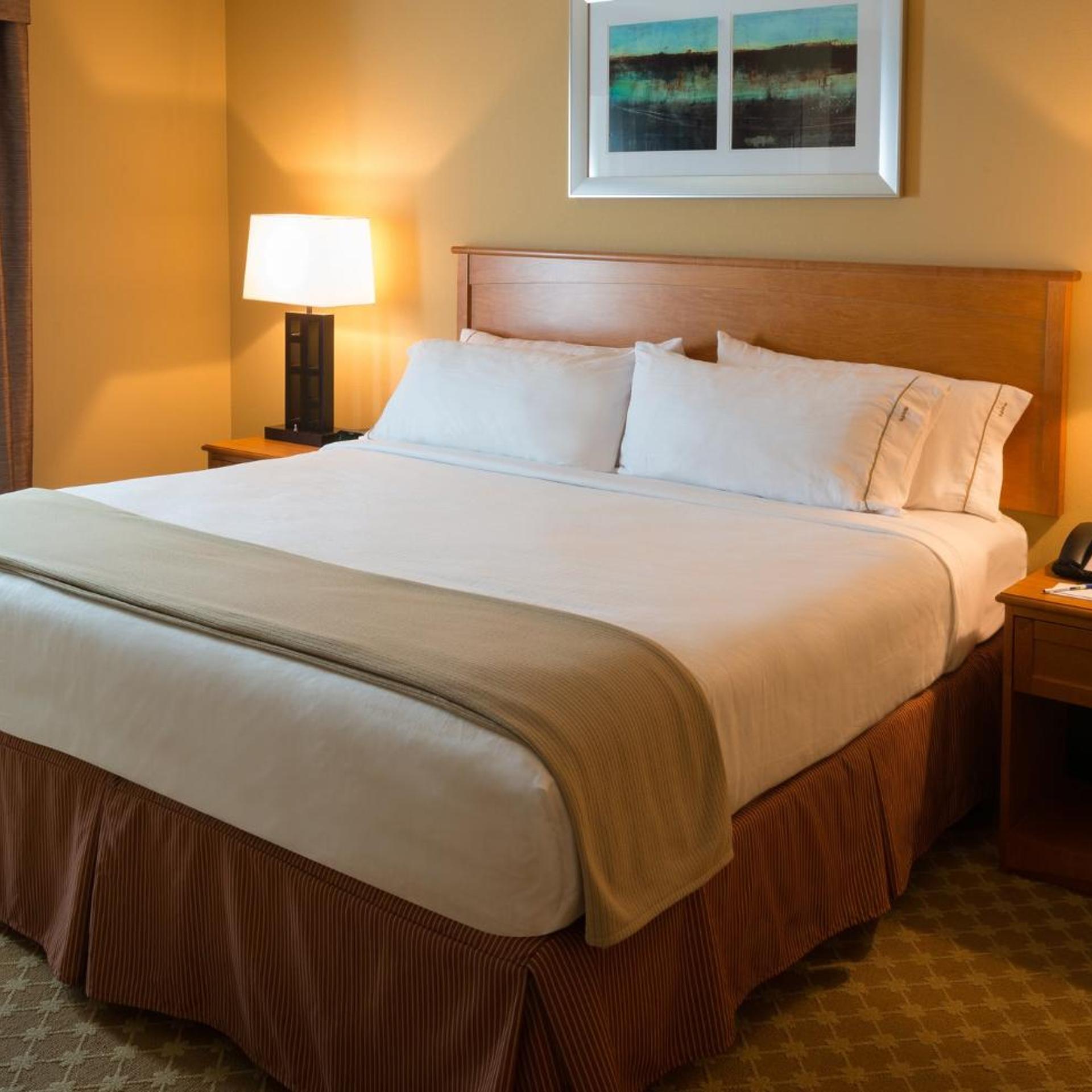 holiday inn express and suites chicago west roselle by ihg