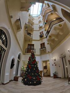 saint patricks hotel
