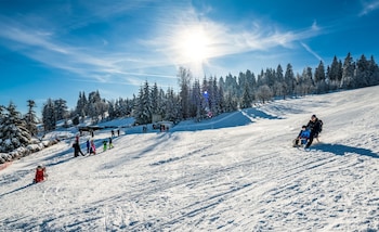 ahorn waldhotel altenberg