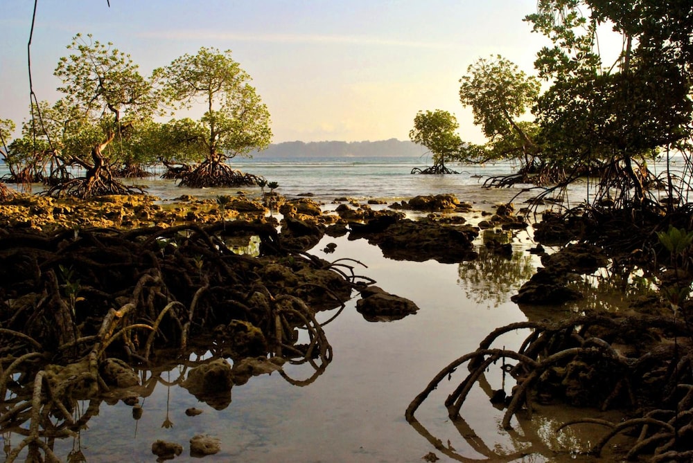 neil island