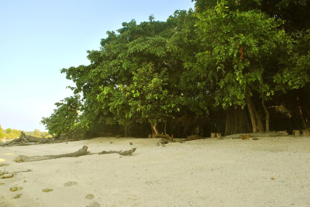 neil island
