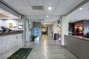 quality inn holly springs south