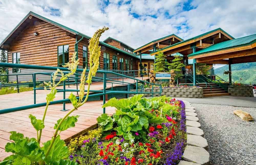 denali national park