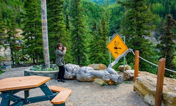 denali national park