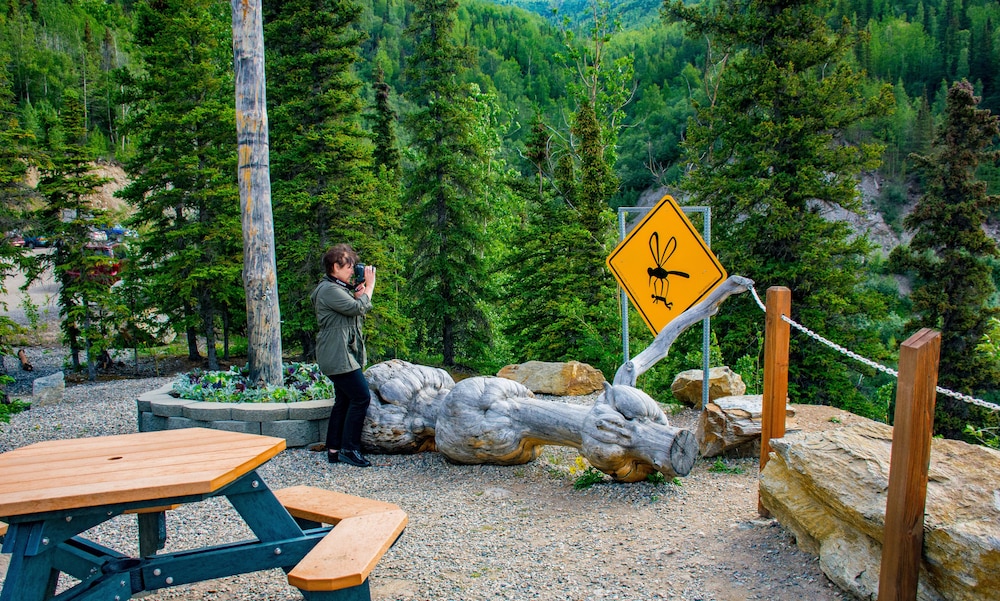 denali national park