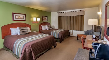 denali national park