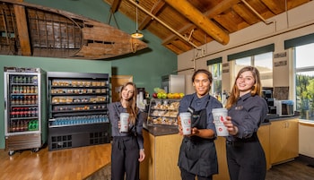 denali national park