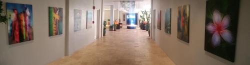 hotel caravelle st croix