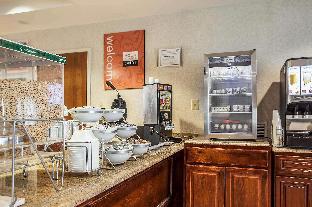 comfort suites near university