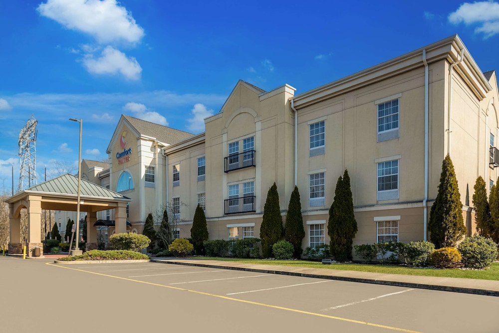 comfort suites near university
