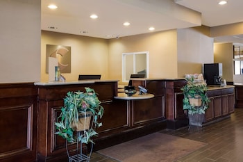 comfort suites near university