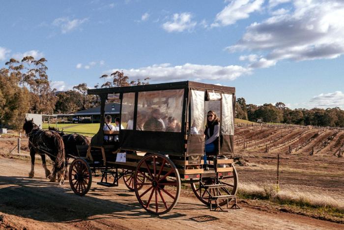 hunter valley resort