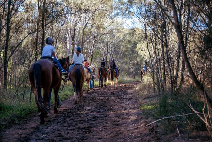 hunter valley resort