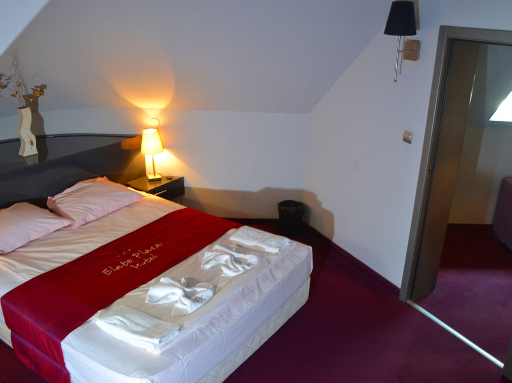 elate plaza business hotel