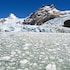 sent calafate