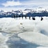 sent calafate