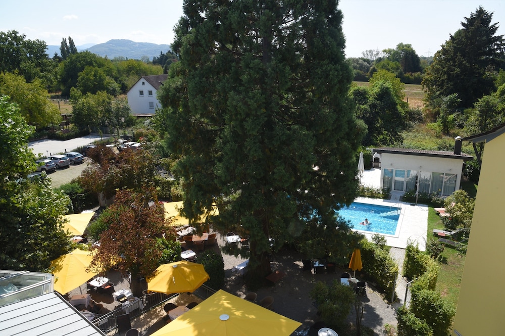 freiburg im breisgau