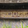 ellin forest
