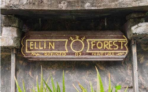 ellin forest