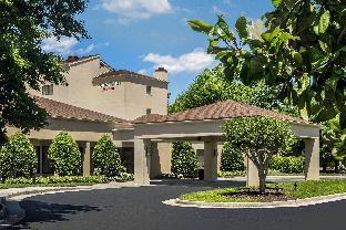 courtyard by marriott williamsburg busch gardens area