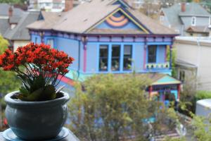 james bay inn hotel and suites