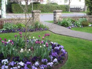 james bay inn hotel and suites