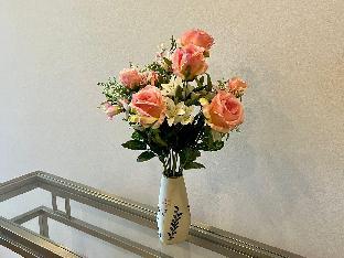 play at nova retreat kea farm