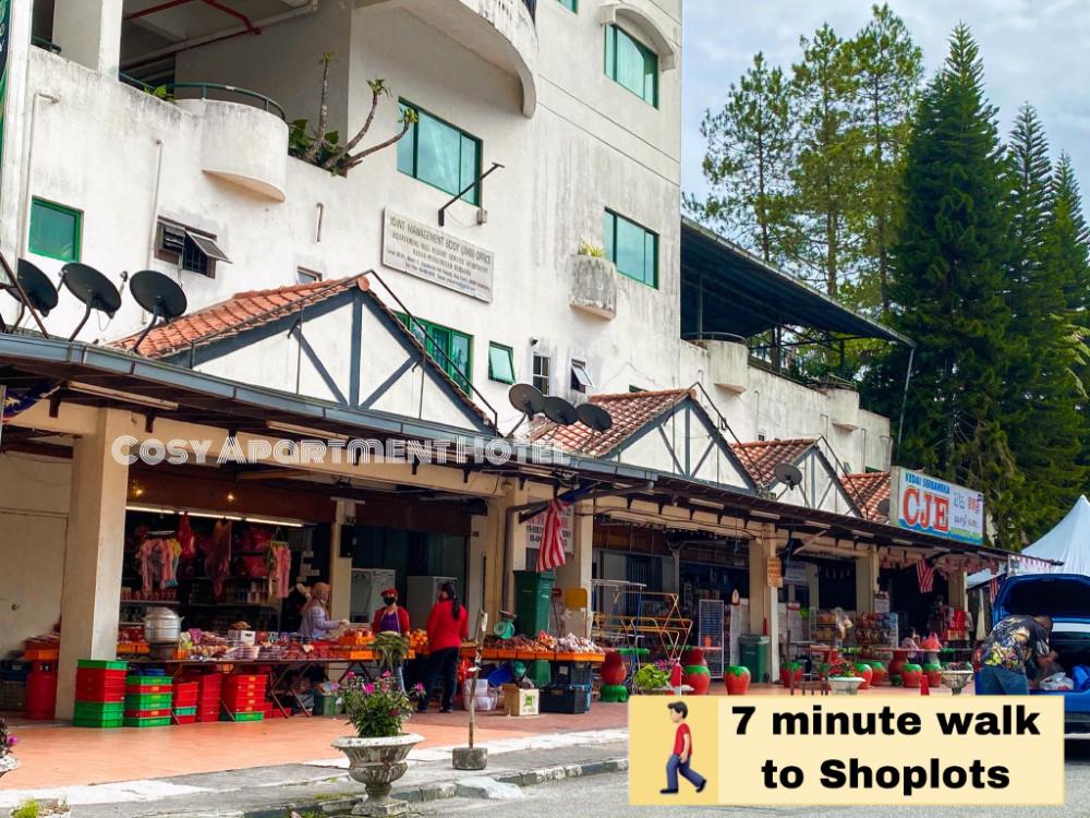 luxury modern 18 c coptorne hotel apartment