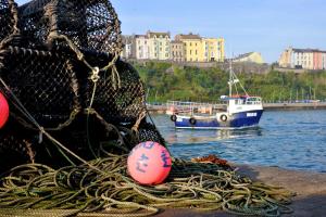 tenby house