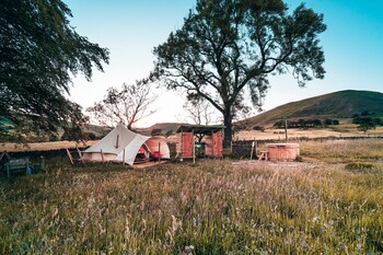 become wild edale