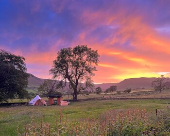 become wild edale