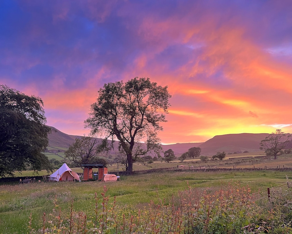 become wild edale