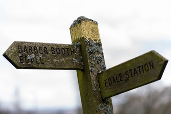 become wild edale