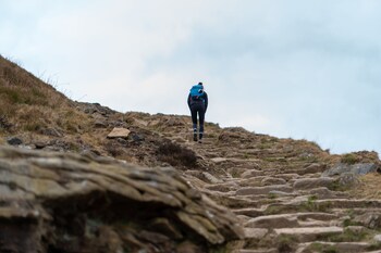 become wild edale