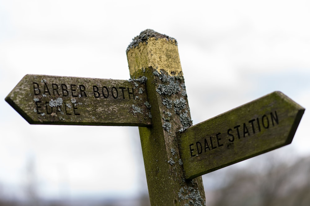 become wild edale