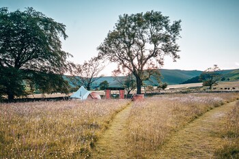 become wild edale
